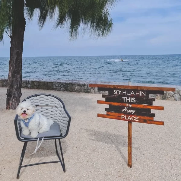 So Sofitel Hua Hin Thailand