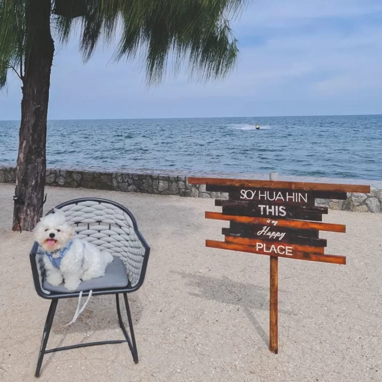 So Sofitel Hua Hin Thailand