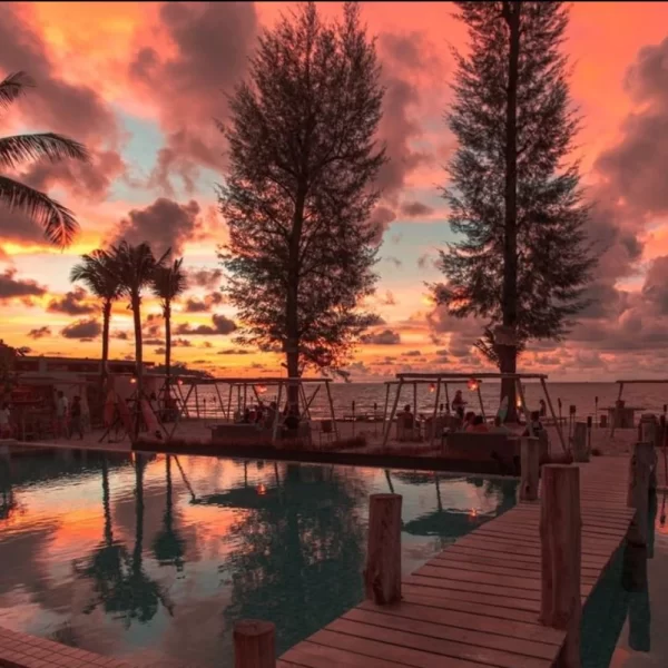 Lazy Coconut Phuket Thailand