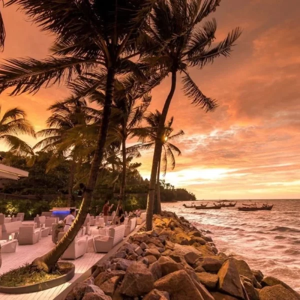 Palm Seaside Phuket Thailand