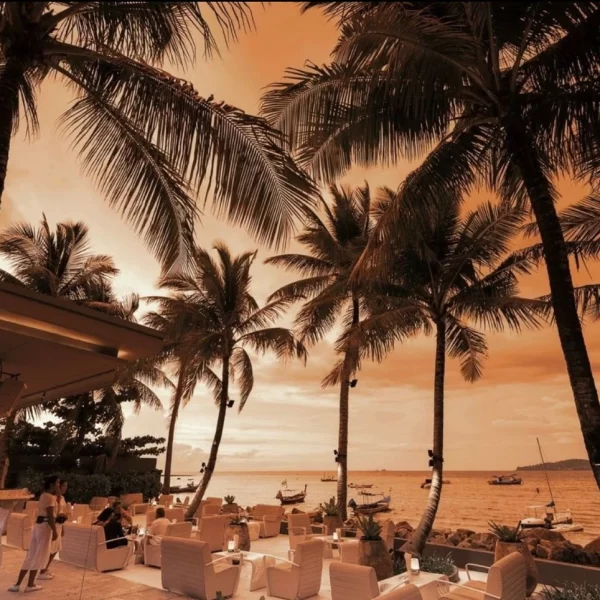 Palm Seaside Phuket Thailand