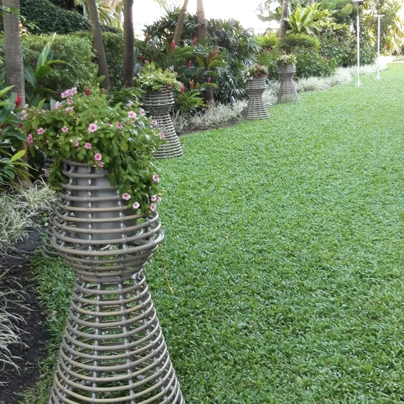 Anantara River Resort, Bangkok Thailand