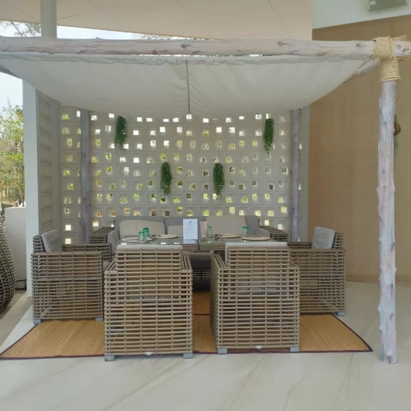 Lazy Coconut Phuket Thailand