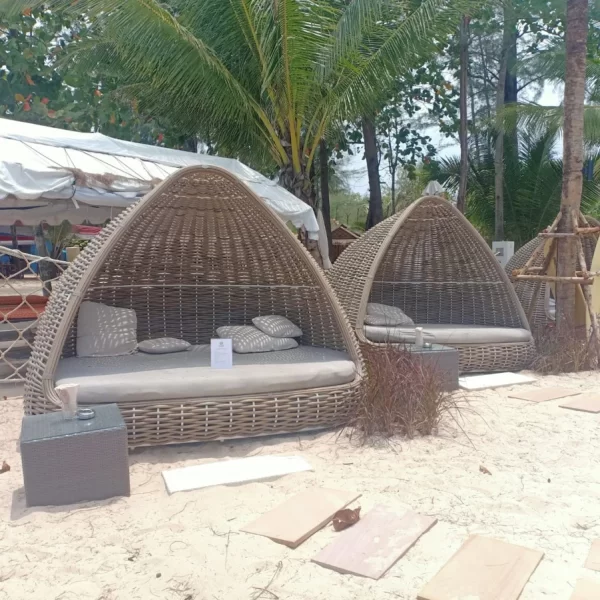 Lazy Coconut Phuket Thailand