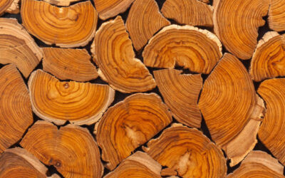 Teak Wood